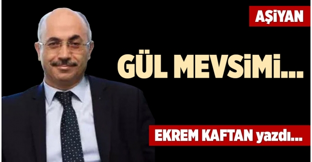 GÜL MEVSİMİ…