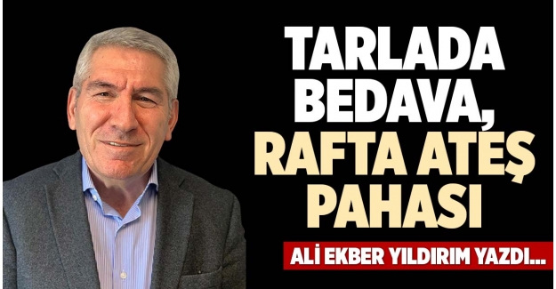 TARLADA BEDAVA, RAFTA ATEŞ PAHASI