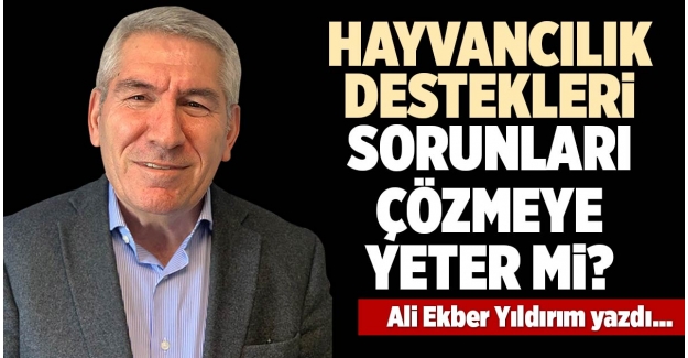 HAYVANCILIK DESTEKLERİ SORUNLARI ÇÖZMEYE YETER Mİ?