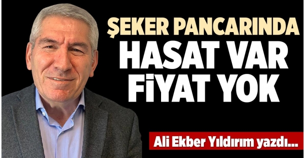 ŞEKER PANCARINDA HASAT VAR, FİYAT YOK