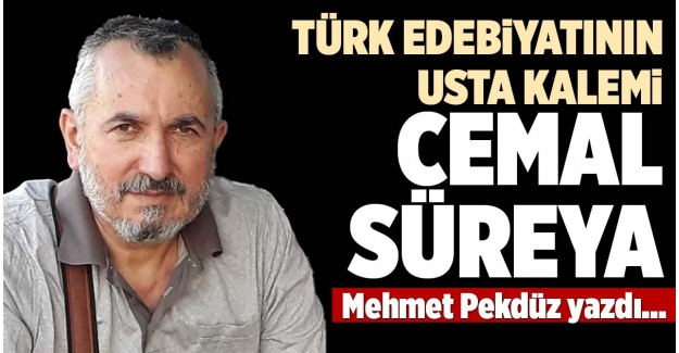 TÜRK EDEBİYATININ USTA KALEMİ CEMAL SÜREYA