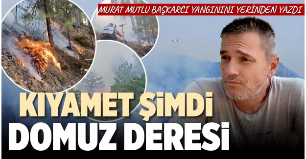 KIYAMET ŞİMDİ - DOMUZ DERESİ