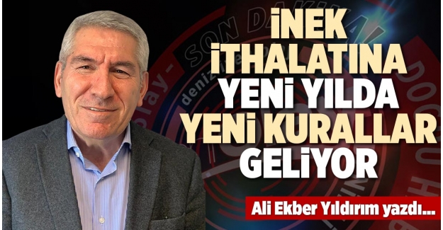 İNEK İTHALATINA YENİ YILDA YENİ KURALLAR GELİYOR