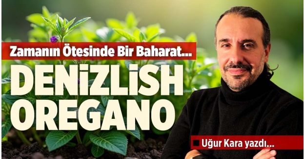 DENİZLİSH OREGANO