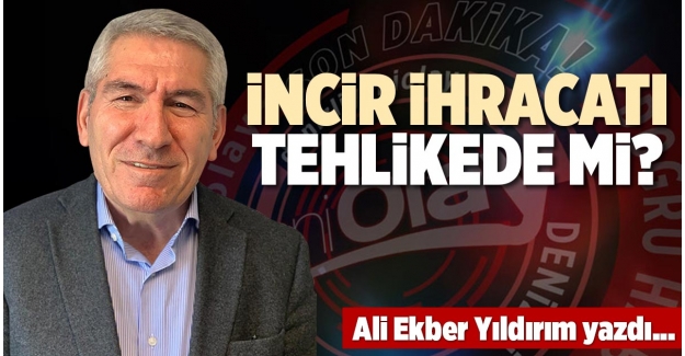 İNCİR İHRACATI TEHLİKEDE Mİ?