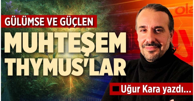 MUHTEŞEM THYMUS'LAR..