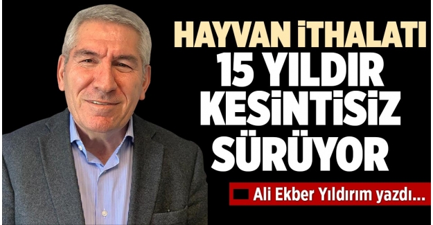 HAYVAN İTHALATI 15 YILDIR KESİNTİSİZ SÜRÜYOR