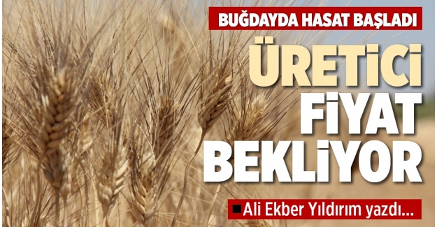 ÜRETİCİ FİYAT BEKLİYOR