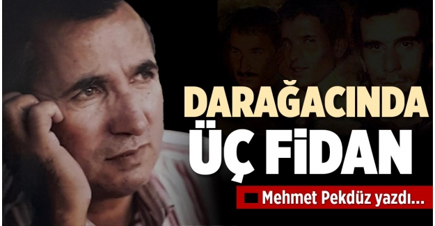 DARAĞACINDA ÜÇ FİDAN