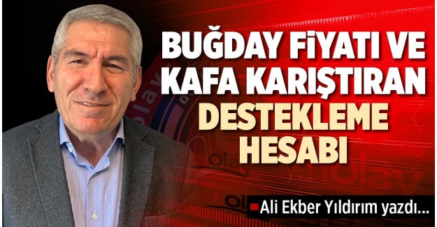BUĞDAY FİYATI VE KAFA KARIŞTIRAN DESTEKLEME HESABI