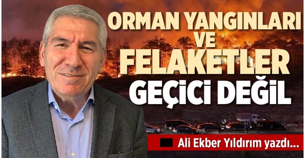 ORMAN YANGINLARI VE FELAKETLER GEÇİCİ DEĞİL