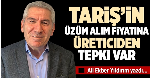TARİŞ’İN ÜZÜM ALIM FİYATINA ÜRETİCİDEN TEPKİ VAR