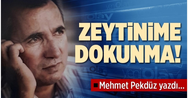 ZEYTİNİME DOKUNMA!