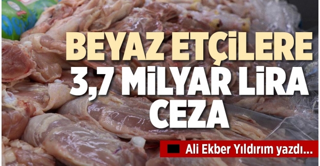 BEYAZ ETÇİLERE 3,7 MİLYAR LİRA CEZA