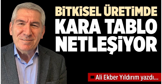 BİTKİSEL ÜRETİMDE KARA TABLO NETLEŞİYOR