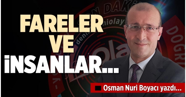 FARELER VE İNSANLAR…
