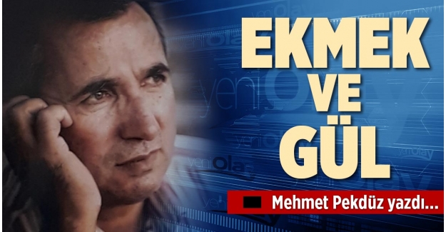 EKMEK VE GÜL