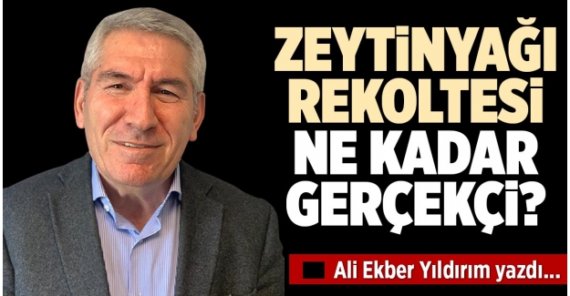 ZEYTİNYAĞI REKOLTESİ NE KADAR GERÇEKÇİ?