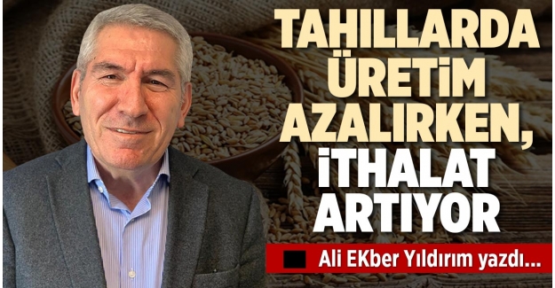 TAHILLARDA ÜRETİM AZALIRKEN, İTHALAT ARTIYOR