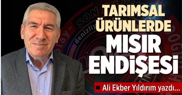 TARIMSAL ÜRÜNLERDE MISIR ENDİŞESİ