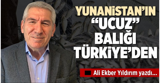 YUNANİSTAN’IN “UCUZ” BALIĞI TÜRKİYE’DEN
