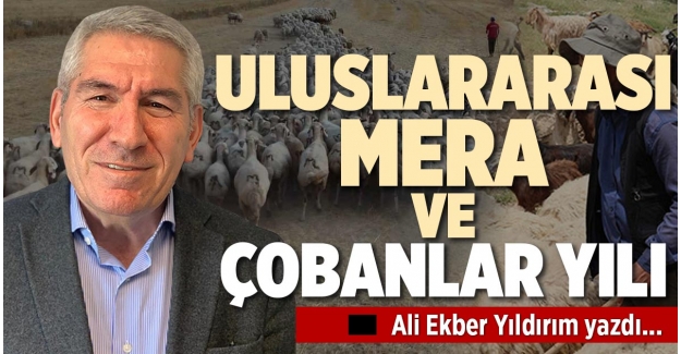 ULUSLARARASI MERA VE ÇOBANLAR YILI