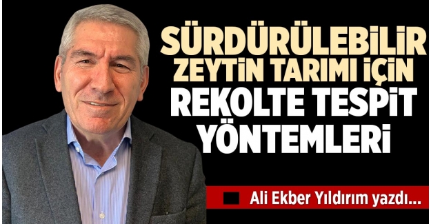 SÜRDÜRÜLEBİLİR ZEYTİN TARIMI İÇİN REKOLTE TESPİT YÖNTEMLERİ