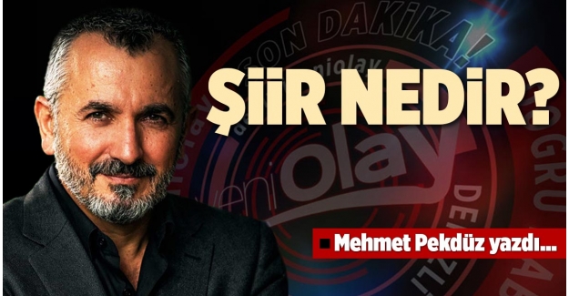 ŞİİR NEDİR?
