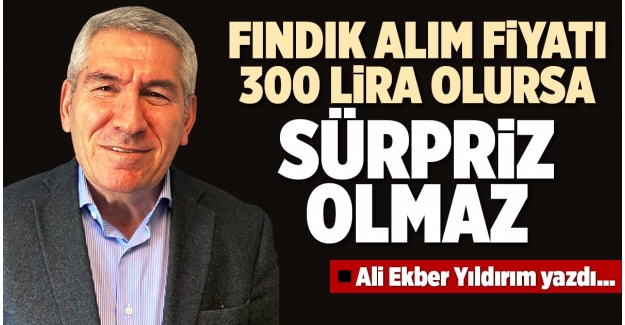 FINDIK ALIM FİYATI 300 LİRA OLURSA, SÜRPRİZ OLMAZ