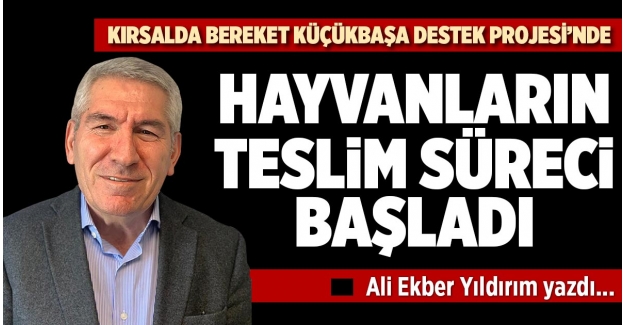 KIRSALDA BEREKET KÜÇÜKBAŞA DESTEK PROJESİ’NDE HAYVANLARIN TESLİM SÜRECİ BAŞLADI