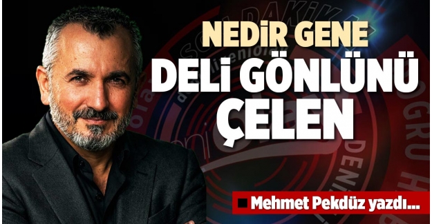 NEDİR GENE DELİ GÖNLÜNÜ ÇELEN