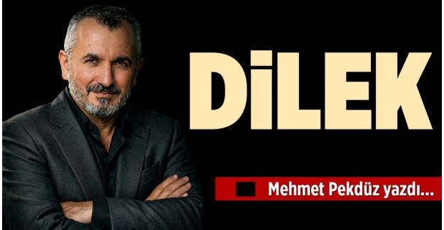 DİLEK