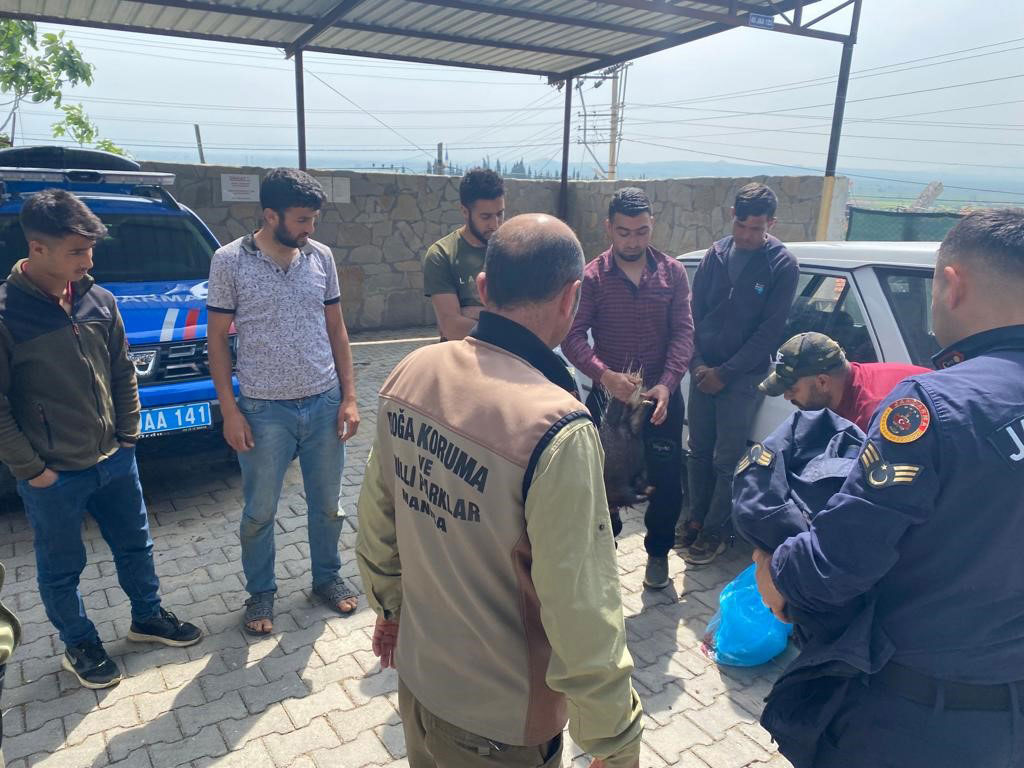 PİTBULL İLE OKLU KİRPİ AVLAYAN 6 KİŞİYE 138 BİN 198 LİRA PARA CEZASI