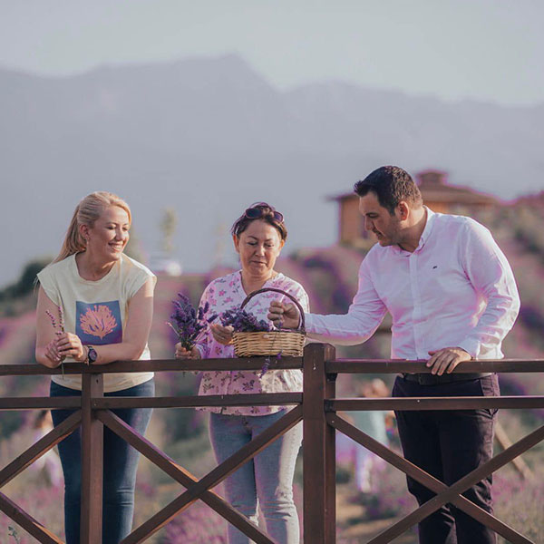 MERKEZEFENDİ’NİN MOR GÜZELLİĞİ, LAVANTA BAHÇESİ