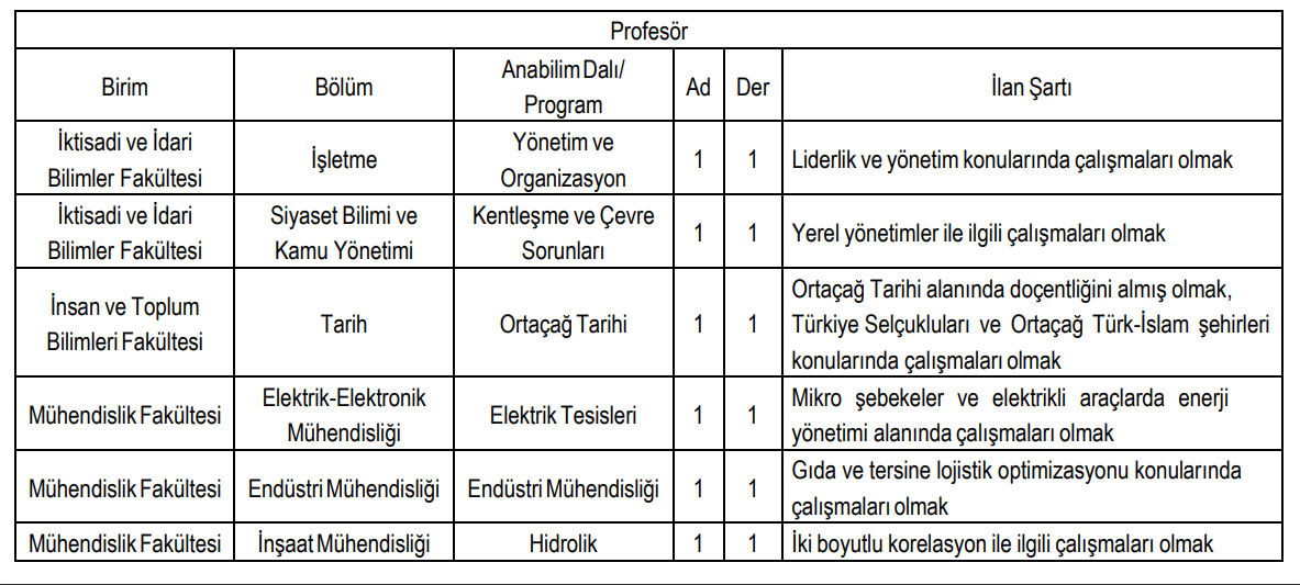 PAÜ’YE, ÖĞRETİM ÜYESİ ALINACAK