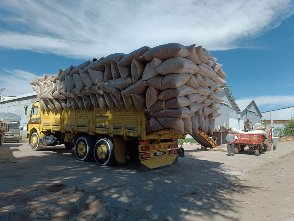 AFYONKARAHİSAR’IN SİMGESİ ‘HAŞHAŞ’TA KAPSÜL ALIMI BAŞLADI