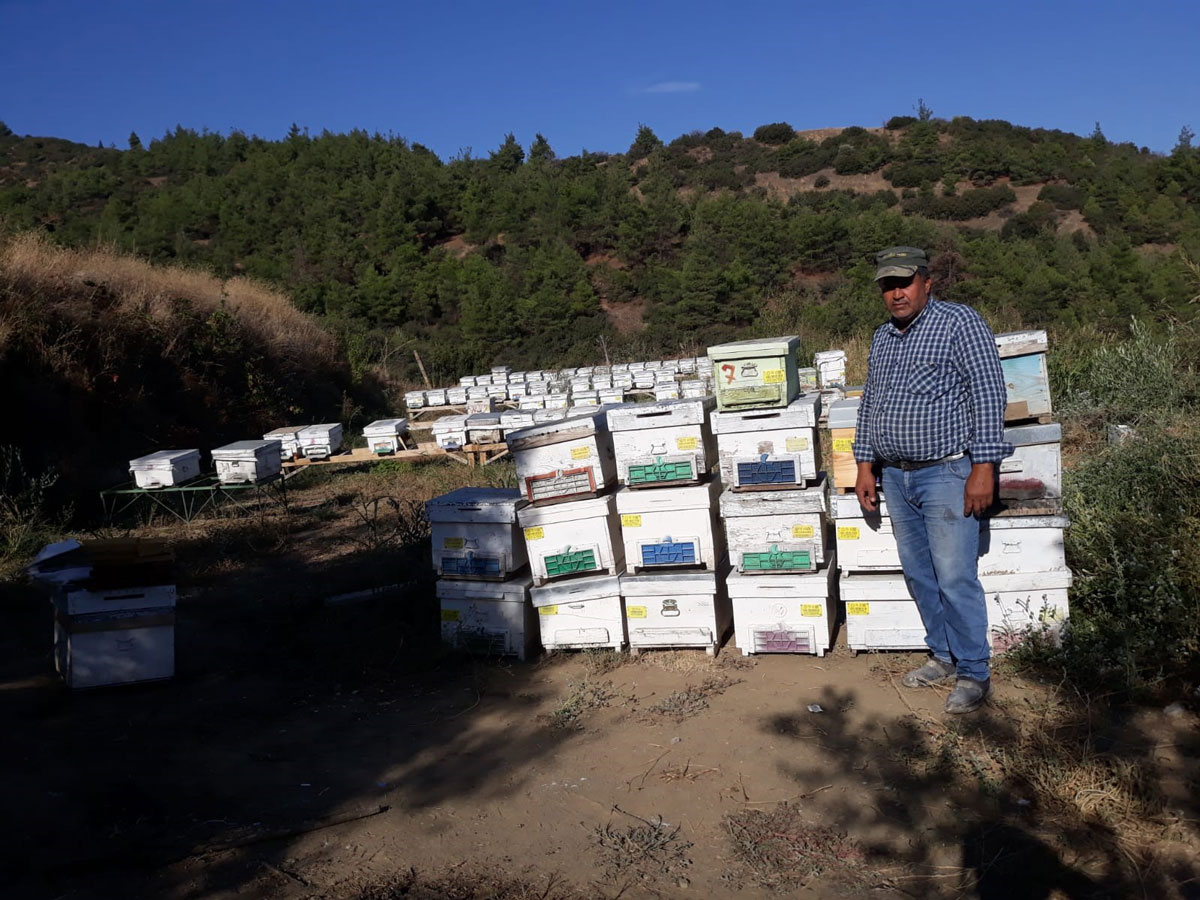 ARI KUŞLARI 25 KOVANI TELEF ETTİ