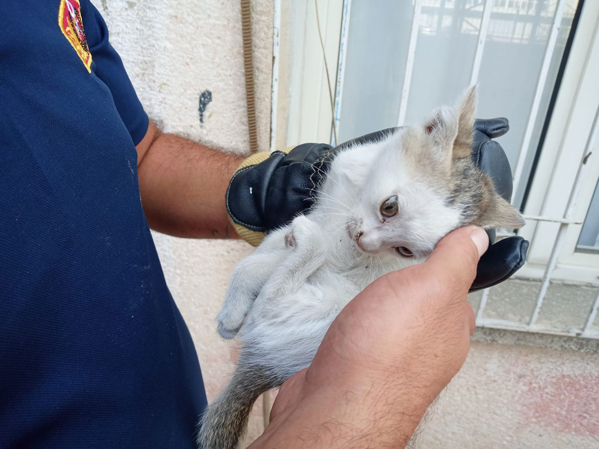 BODRUM HAVALANDIRMASINA DÜŞEN YAVRU KEDİYİ, İTFAİYE KURTARDI