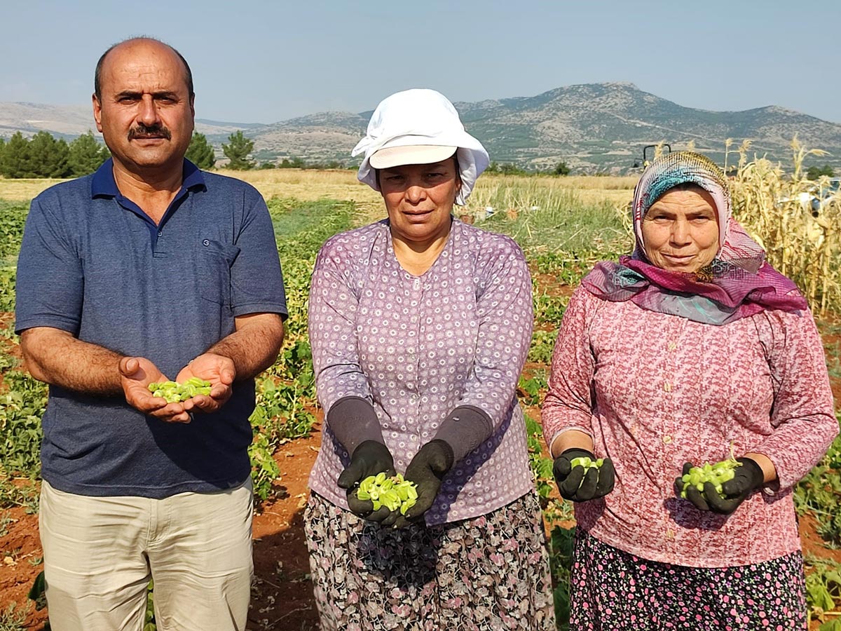 ÇAL BAMYASI TESCİLLENİYOR