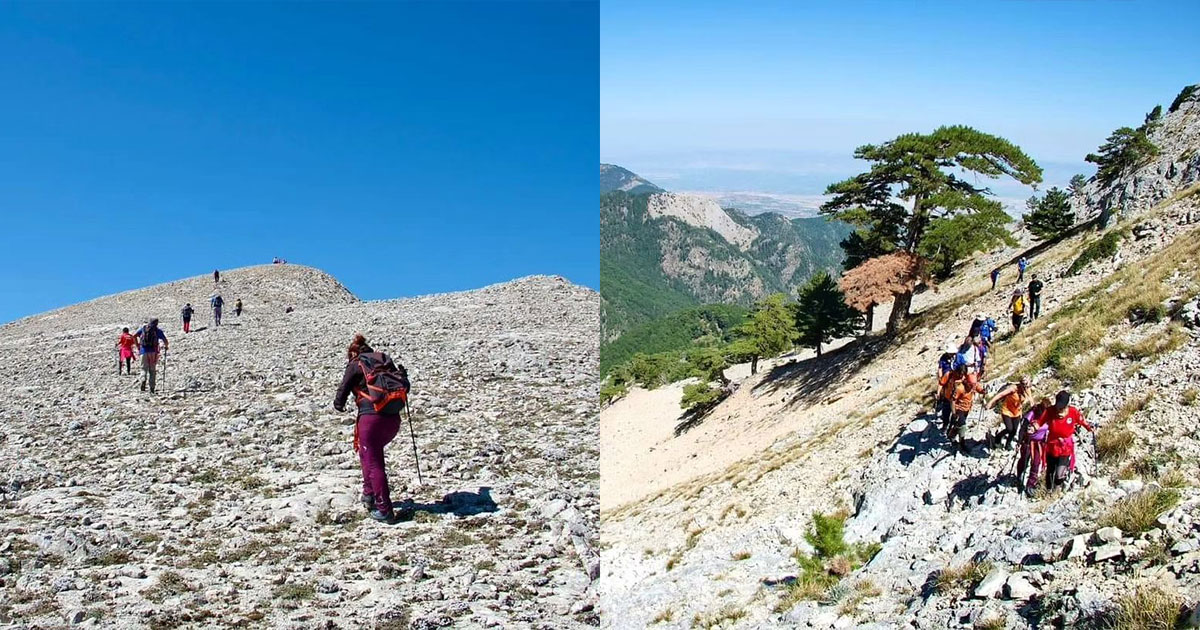 PAKDOS EKİBİ KARCI DAĞI ZİRVESİNDE