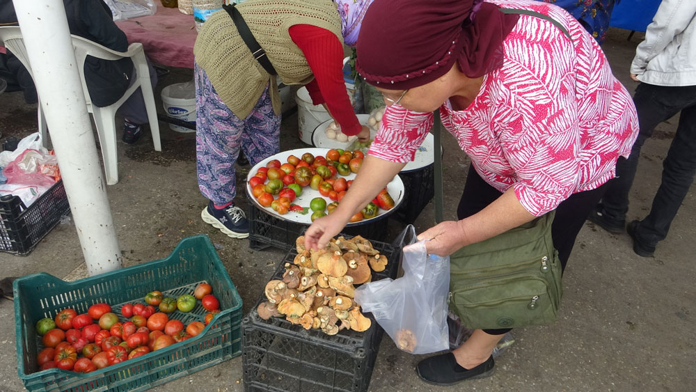 ÇINTARLAR PAZAR TEZGAHLARINDA YERİNİ ALDI