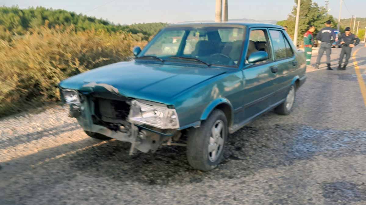 OTOMOBİL SÜRÜYE DALDI, 4 KEÇİ TELEF OLDU