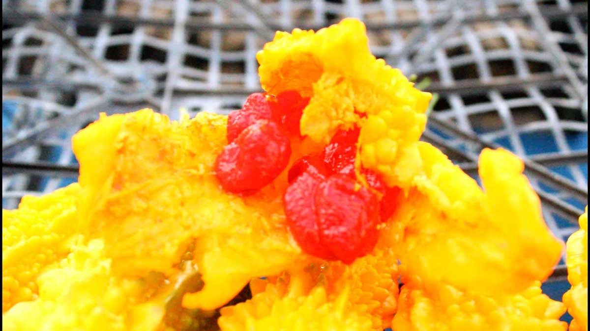 ŞİFA DEPOSU KUDRET NARI KÜTAHYA’DAKİ PAZAR TEZGAHLARINDA YERİNİ ALDI