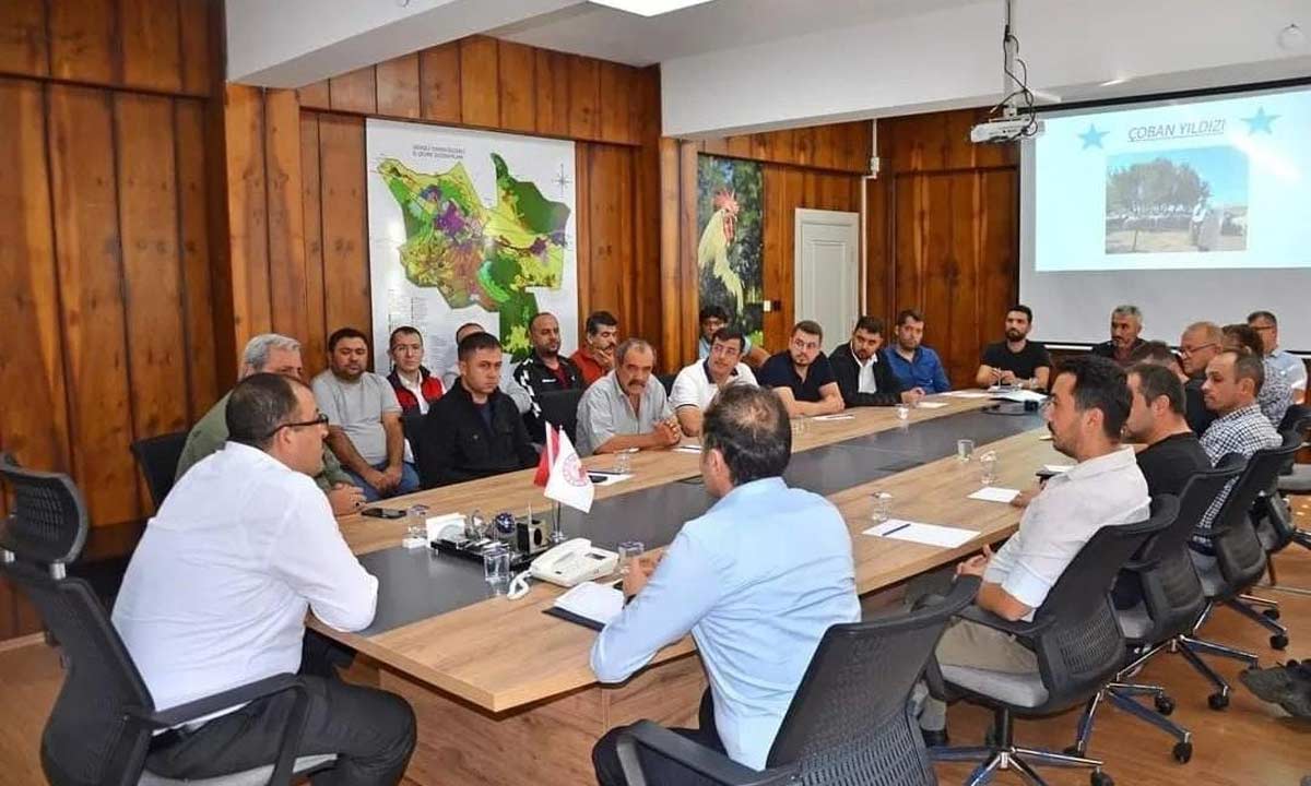 YILDIZ ÇOBANLAR YARIŞMAYLA BELİRLENECEK