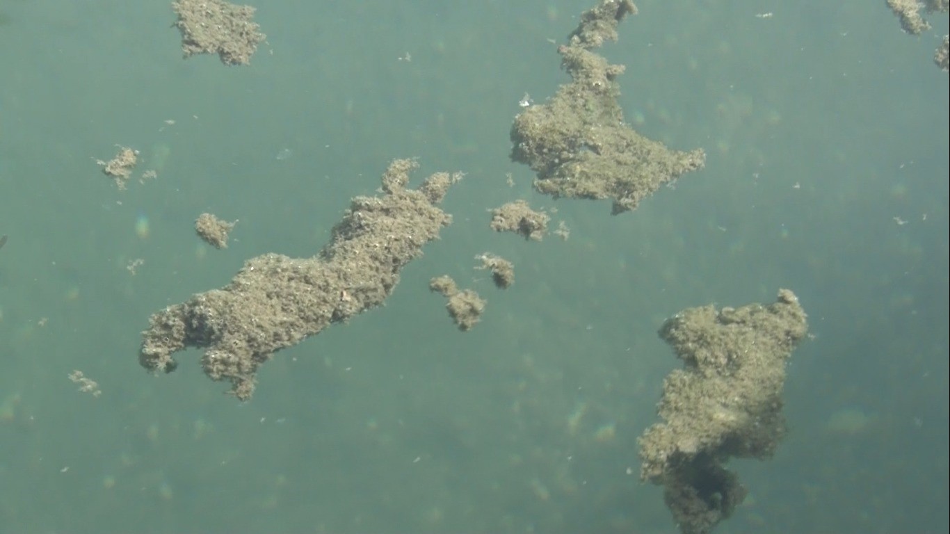 YOSUN HAVUZU VE KAPLICA