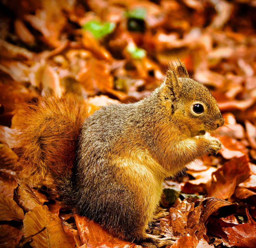 AYDIN’DA MASALSI SONBAHAR VE KIŞ MANZARALARI