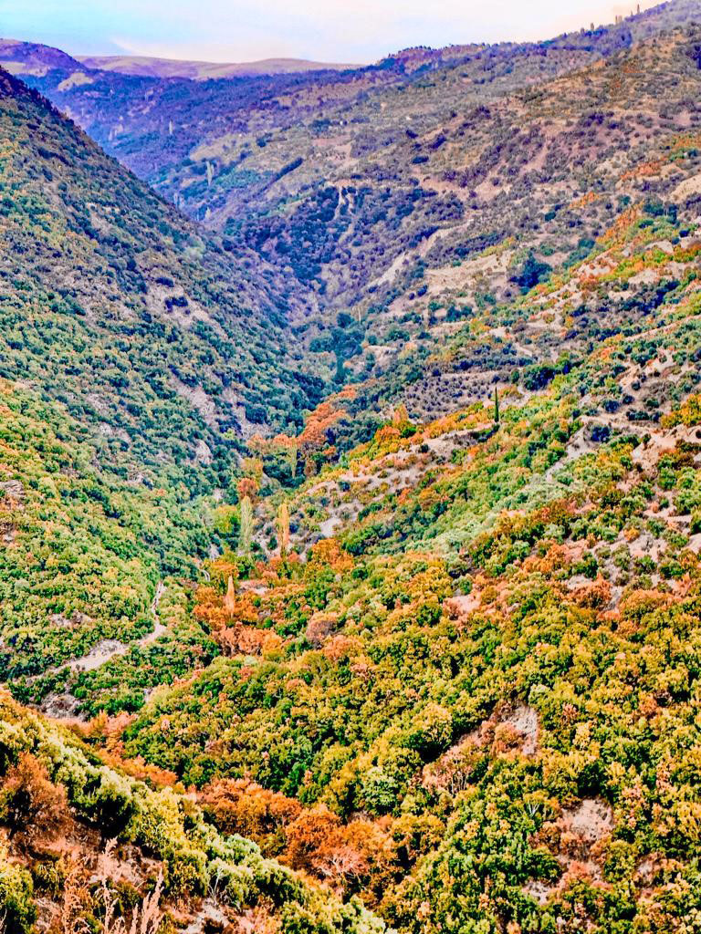 AYDIN DAĞLARINDAKİ SON BAHAR MANZARALARI MEST ETTİ