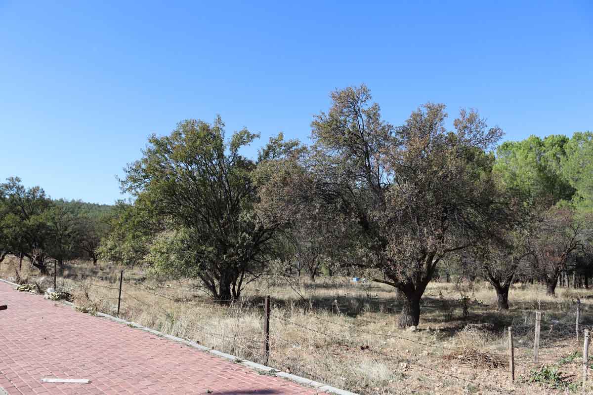 ÇAL’A 60 MİLYONLUK KAMU YATIRIMI