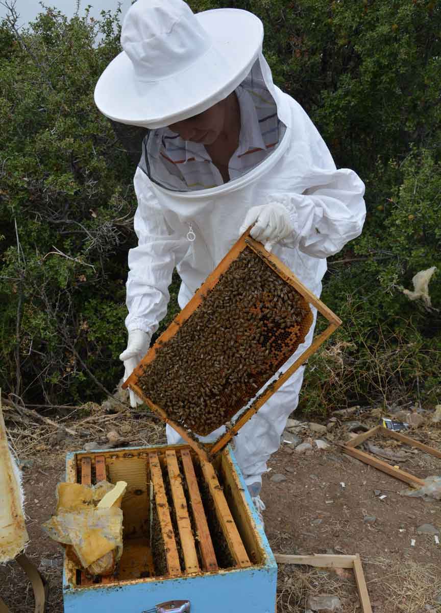 ENGELLİ VE ESKİ HÜKÜMLÜLERE HİBE DESTEĞİ BAŞVURULARI BAŞLADI