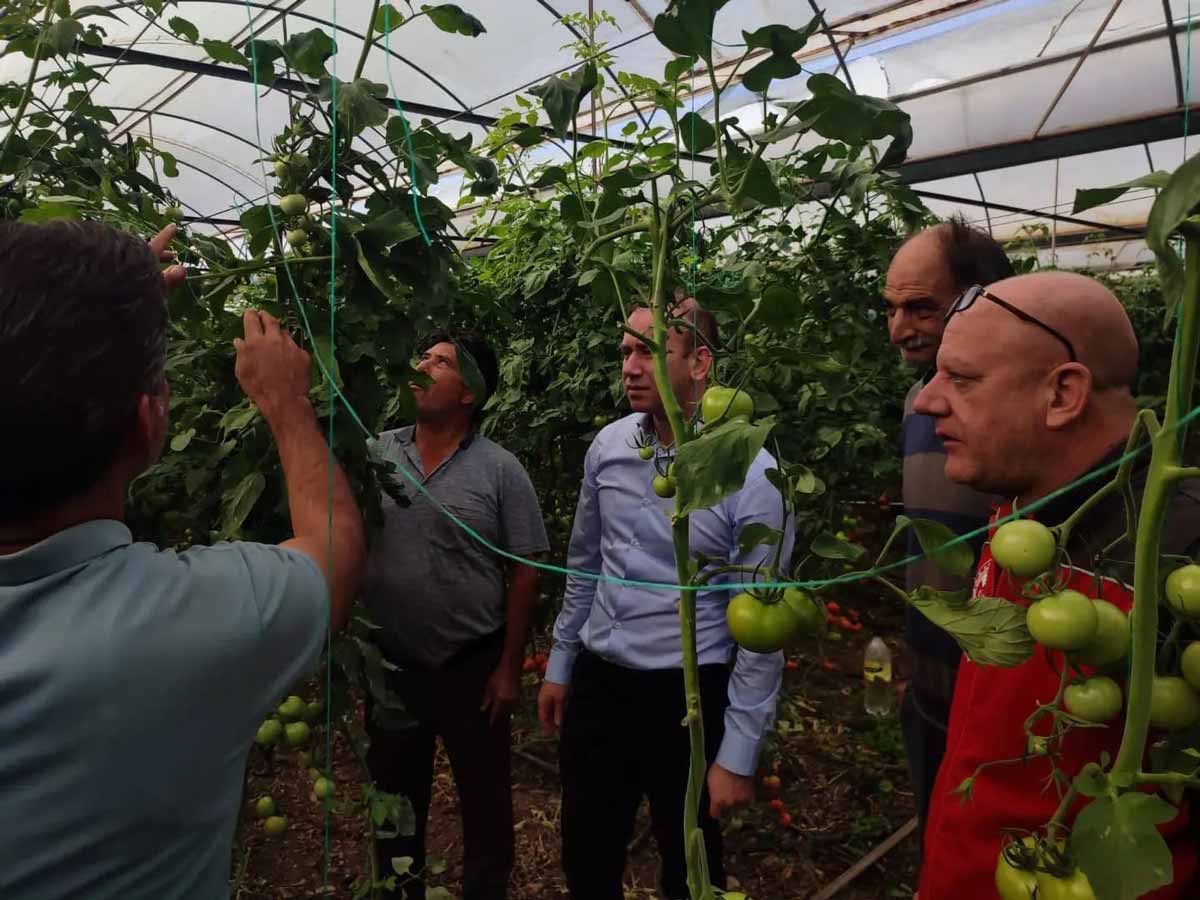 Köyceğiz Mahallesi Muhtarı Arıkan Daşgın